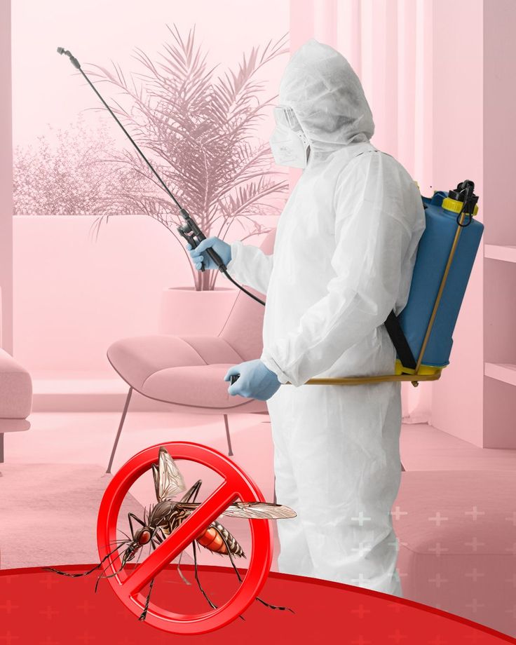 Isparta böcek ilaçlama sonrası temiz alan